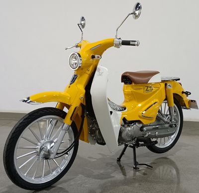 Zongshen brand automobiles ZS50Q23 moped with two wheels 