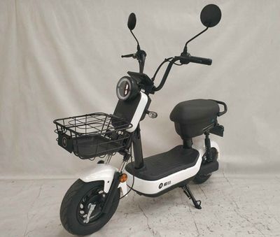 Emma  AM500DQT31K Electric two wheeled light motorcycle