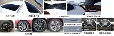 BYD  BYD6490SBEV4 Pure electric multi-purpose passenger vehicles