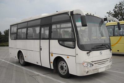 Shaanxi Automobile SX6750DF coach