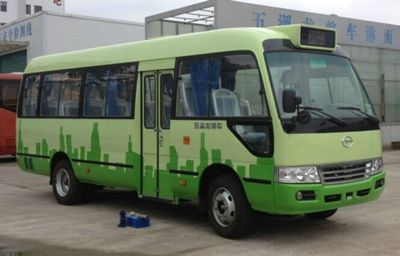 Wuzhoulong FDG6701EVG2Pure electric city buses