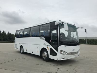 HagridKLQ6829KAE51coach