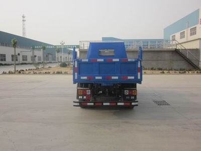 Shifeng  SSF3041DDP53 Dump truck