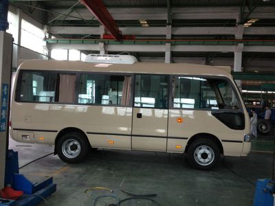 Wuzhoulong  FDG6600EVG Pure electric city buses