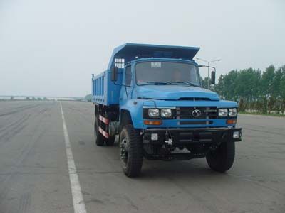 Shitong STQ3110CL7Y4Dump truck