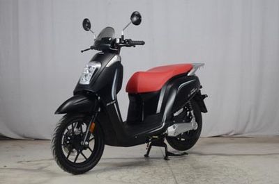 Dayang  DY1500DTA Electric two wheeled motorcycle