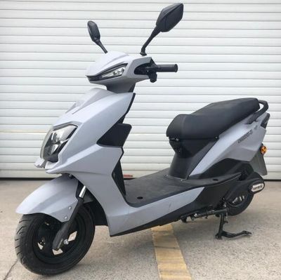 Green energy  LN600DQT2T Electric two wheeled light motorcycle