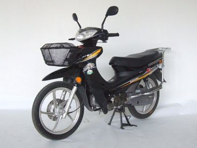 Dayang DY907CTwo wheeled motorcycles