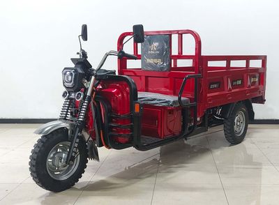 Zonglong  ZL2500DZH2 Electric tricycle