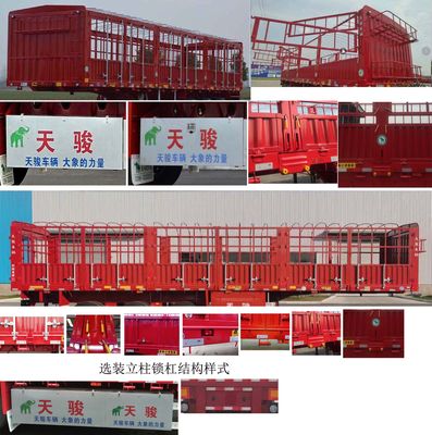 Tianjun Dejin brand automobiles TJV9350CCYM Gantry transport semi-trailer