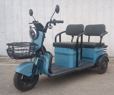 Sailit SLT1200DZK4 Electric tricycle