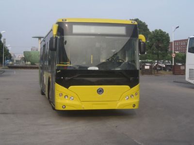 FORTA FZ6129UFBEV Pure electric city buses