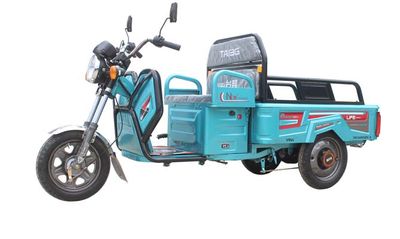 Taibang  TB1500DZH5 Electric tricycle