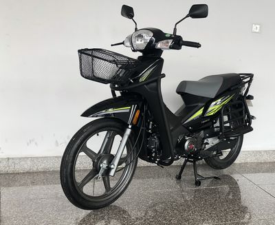 Qianjiang  QJ11010F Two wheeled motorcycles