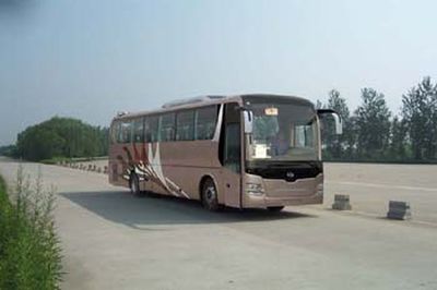 Huanghai  DD6129K71 coach