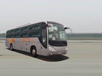 Yutong  ZK6120HWP Sleeper coach