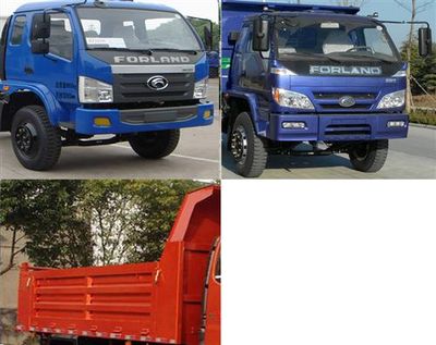 Foton  BJ3102V4PDBF1 Dump truck