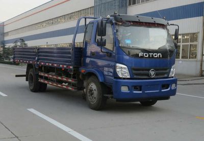 Foton  BJ1169VKPEGF1 Truck