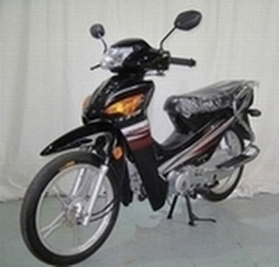 Qisheng  QS1102C Two wheeled motorcycles