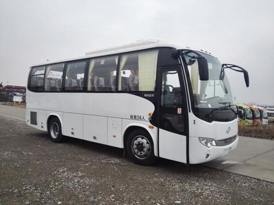 HagridKLQ6856KQE51coach