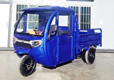 Pairui  PR1500DZH2 Electric tricycle