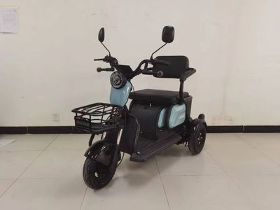 Shenzhou Fuxing  FX500DQZ Electric three wheeled light motorcycle