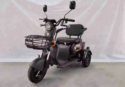 Shenzhou Fuxing  FX500DQZ Electric three wheeled light motorcycle