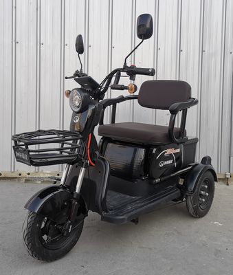 Shenzhou Fuxing  FX500DQZ Electric three wheeled light motorcycle