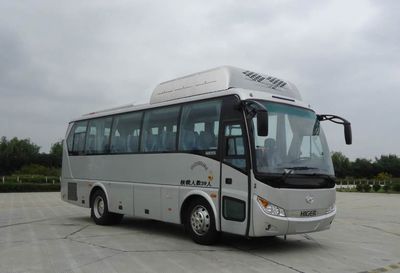 Hagrid KLQ6898KQC42 coach