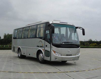 Hagrid KLQ6898KQC42 coach