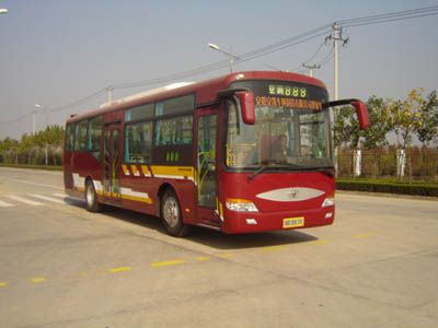 Star Kailong HFX6102GK09City buses