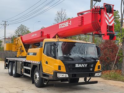 Sany  SYM5315JQZ25E Car crane