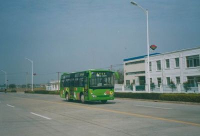 Friendship  ZGT6803DH4 City buses