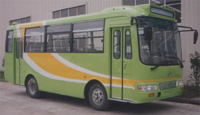 Dongou  ZQK6702N coach