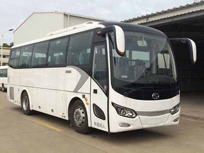 Jinlong  XMQ6905AYD6C coach