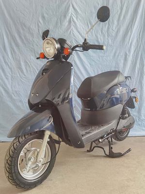 Wangye  WY1500DT26 Electric two wheeled motorcycle