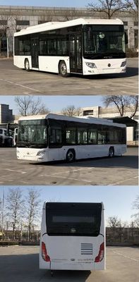 Foton  BJ6123FCEVCH1 Fuel cell city buses