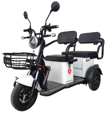 Emma  AM1000DZK10N Electric tricycle