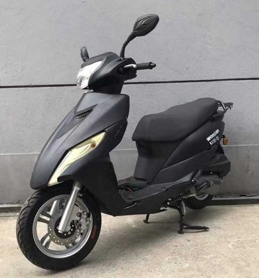 Wangjiang  WJ125T27 Two wheeled motorcycles