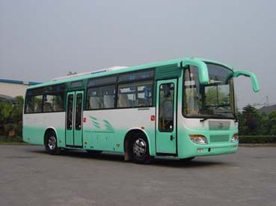 Hengtong Bus CKZ6991ES coach