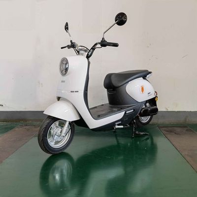 Europa  OP1200DT17 Electric two wheeled motorcycle