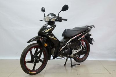 Dayang  DY11028 Two wheeled motorcycles