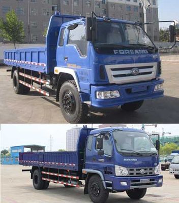 Foton  BJ3143DJPFG1 Dump truck