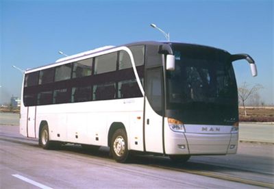 Dongyue  LCK6126W1 Sleeper coach