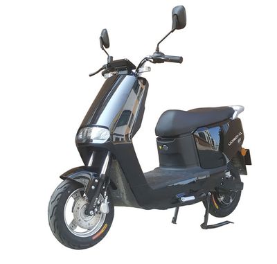 Green Jia  LJ1200DT11 Electric two wheeled motorcycle