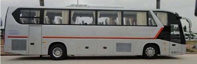 Jinlong  XMQ6129DYN5A coach