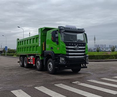 Hongyan  CQ3317EV09286 Dump truck