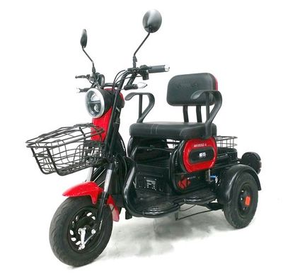 Emma  AM500DQZ6 Electric three wheeled light motorcycle