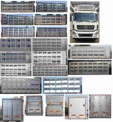 Jiulong  ALA5310CCQDFH5 Livestock and poultry transport vehicles