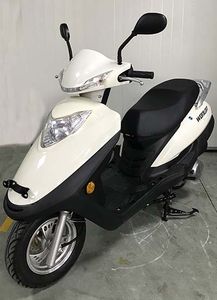 Wanglong  WL125T19 Two wheeled motorcycles